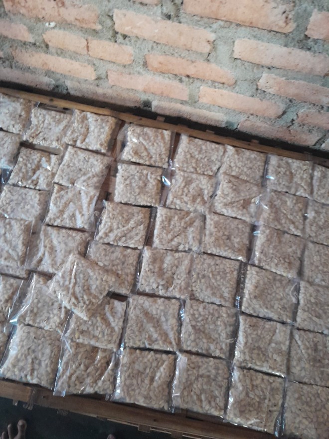 Foto 1